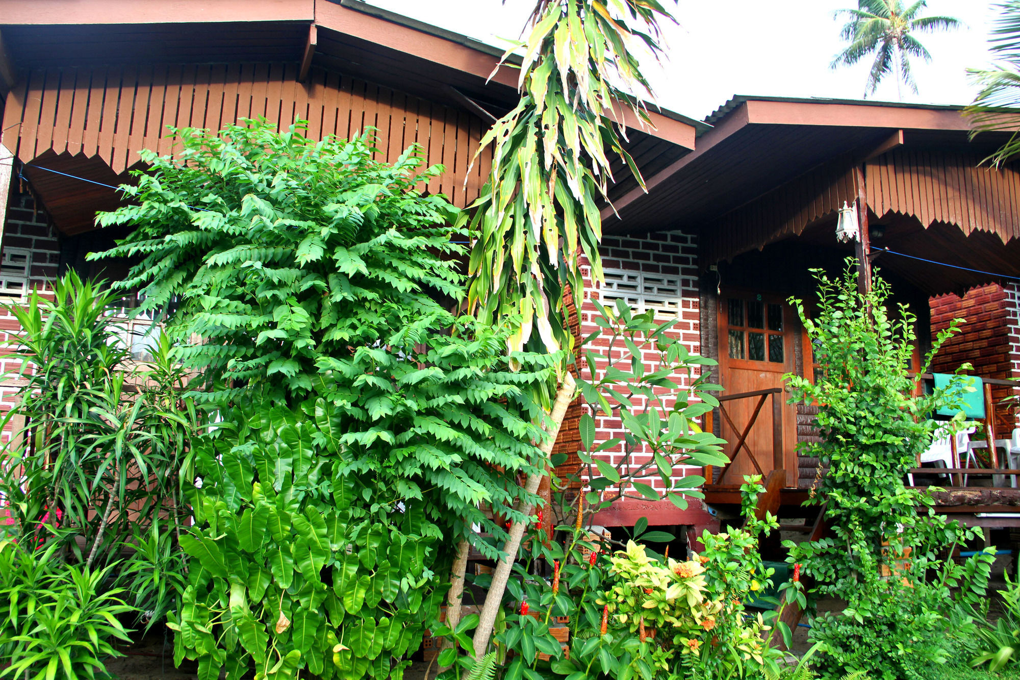 The Boardroom Beach Bungalows Bophut Extérieur photo